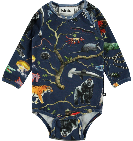 Bilde av body field Tree of Life